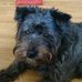 Patricia Smithson - Facebook