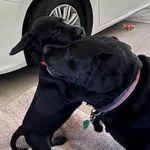Patti Solomon Metheny - @pattimetheny - Instagram