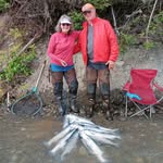 Pat Thomson Stoddard - @thomsonstoddard - Instagram