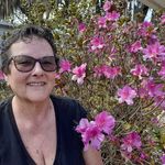 Patti Stone - @pattistone711 - Instagram