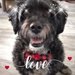 Patti Stone - @patti40patti - Instagram