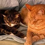 Patti Stone Nelson - @pattinelson4981 - Instagram