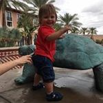 Patty Stratton - @stratton.patty - Instagram