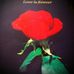 Patricia Sutherland - Facebook