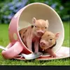 Patti Swanson871 - @pattiswanson871 - TikTok