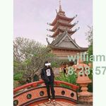 Selina Hahne - @patti.swanson.9271 - Instagram