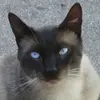 Patti Talbot - @patti.talbot - TikTok