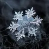 pattitalbot70 - @pattitalbot70 - TikTok