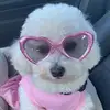 Patricia Terrell - @bichonfrisemila - TikTok