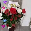 Patty Terrell - @pattyterrell1 - TikTok