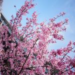 Patti Trail - @trailpatti - Instagram