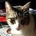 Patti Trail - Facebook