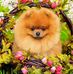 Patricia Vickers - Facebook