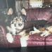 Patti Vickers - Facebook
