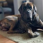 Patty Vickers - @pattyvickers - Instagram