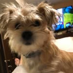 Patti Wallace - @pattiwallace9425 - Instagram