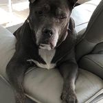 Patti Walls - @pattiwalls - Instagram