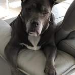 Patti Walls - Facebook