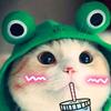 Cute.cat - @pattiwalters1992 - TikTok