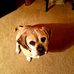 Patti Walters - Facebook
