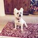 Patti Walters - Facebook
