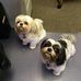 Patti Walters - Facebook