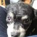 Patti Walters - Facebook