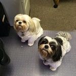 Patti Walters - @pattiwalters1641 - Instagram