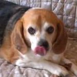 Patti Walters-Salisbury - @luciigirl22 - Instagram