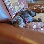 Patti Ware - @patti.ware.3110 - Instagram