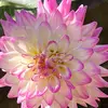 Patti Warren637 - @pattiwarren7 - TikTok