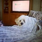 Patti Warren - @patti.warren.908 - Instagram