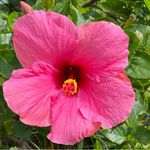 Patti Ellis Waters - @patti.waters - Instagram