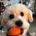 Patti Hirtes Weber - @pattiweber7965 - Instagram