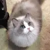 pattiesu - @pattiesueweeks - TikTok