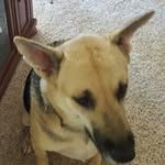 Patty Weeks - @weekspatty - Instagram