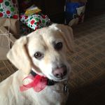 Patti Wells - @pjwcdc - Instagram