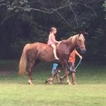 Patti Wells - @pattiwells5034 - Instagram