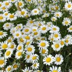 Patti Werner - @wernerpatti - Instagram