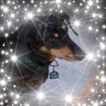 Pattiwernerhagen@gmail.com - @pattiwernerhagengmail.com6 - Instagram