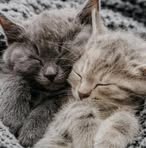 Patti Wheaton - Facebook