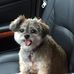 Patti Wilcox - Facebook