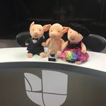 Wiley, Pancho, & Patti - @wileypanchoandpatti - Instagram