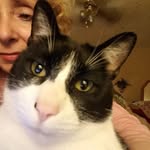 Patti Willard - @patti.willard.18 - Instagram