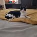 Patti Willard  - Facebook