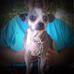 Patti Willenborg - Facebook