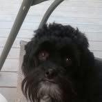 Patti Winans - Facebook