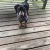 pat the winger 300000 - @pat.the.winger.30 - TikTok