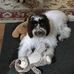 Patti Howard - Facebook