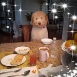 Pattie Kaczala - @pattie.miller.948 - Instagram